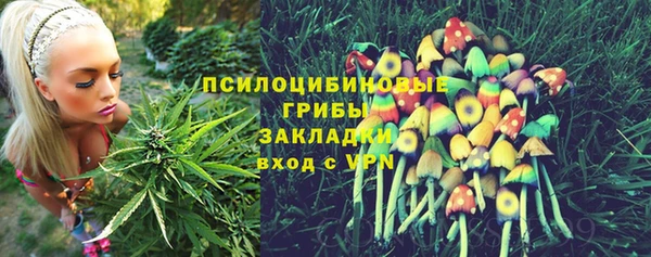 экстази Арсеньев