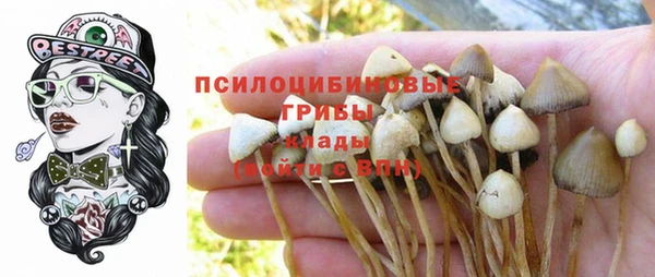 соль ск Армянск