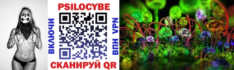 Галлюциногенные грибы MAGIC MUSHROOMS Струнино