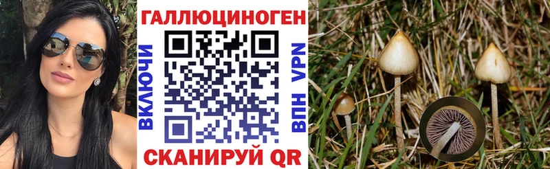 hydra   shop какой сайт  Галлюциногенные грибы Magic Shrooms  Струнино 